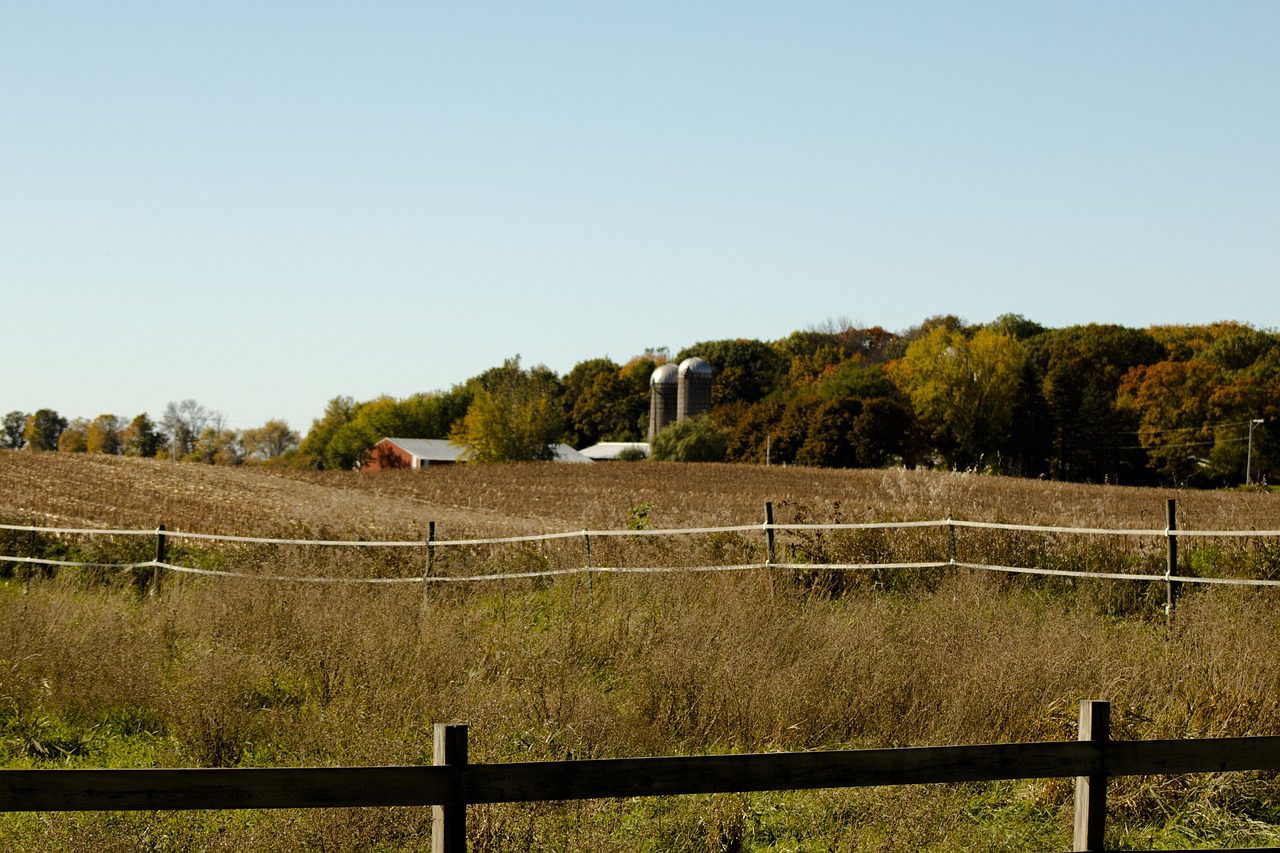 A field with trees and a fence in the background