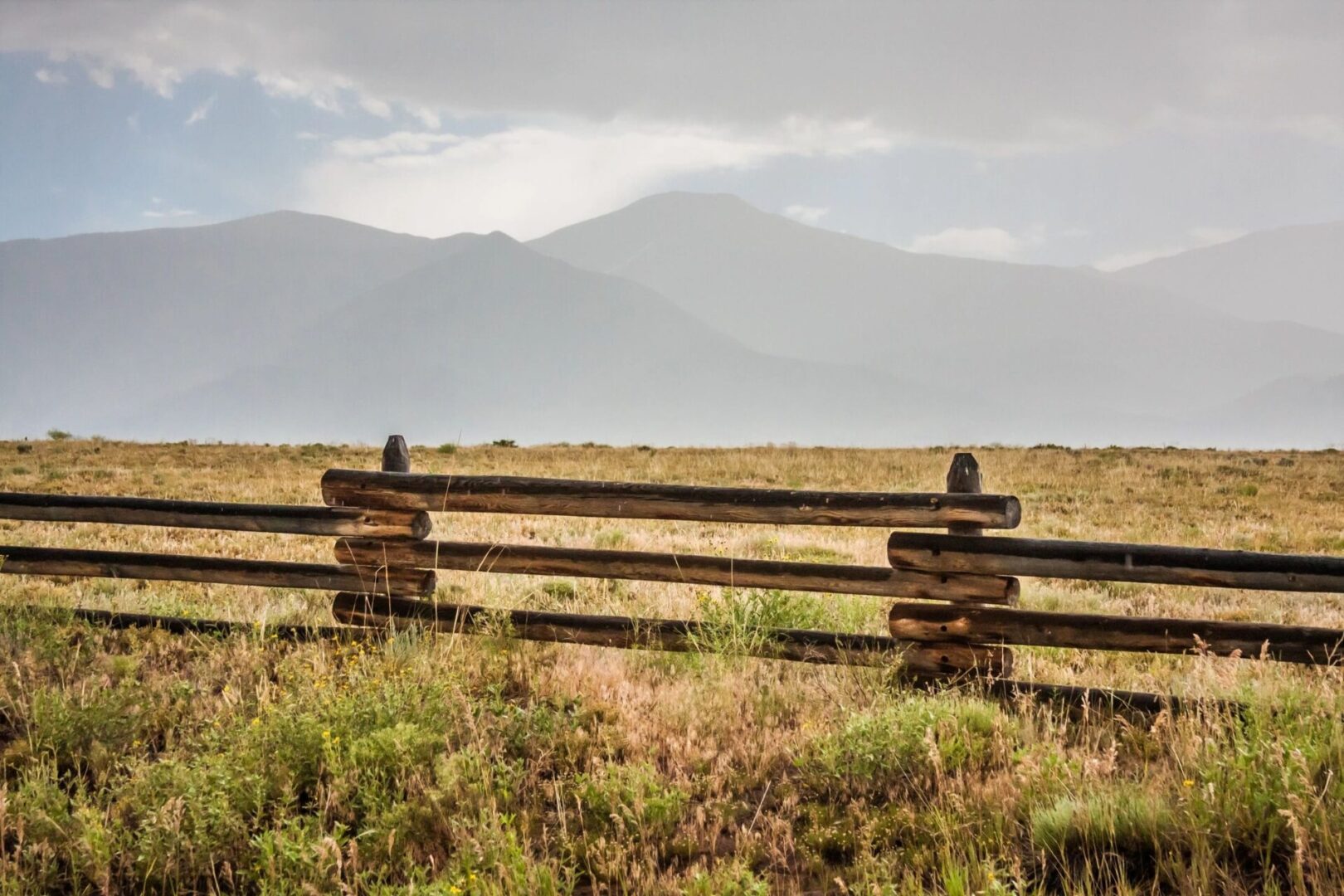 A couple of birds sitting on top of a wooden fence.